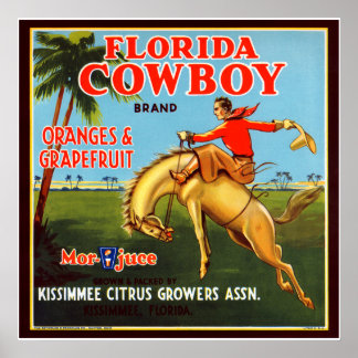 Póster Vaquero de Floriday