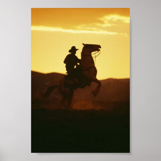 Póster Vaquero en la cría de caballos (Frente)