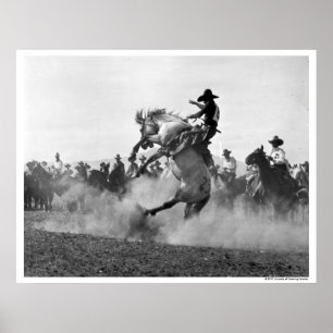 Póster Vaquero en un bronco burlón