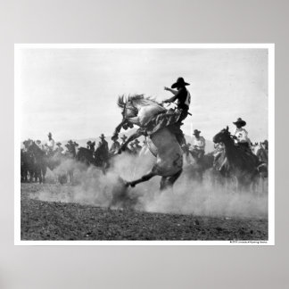 Póster Vaquero en un bronco burlón