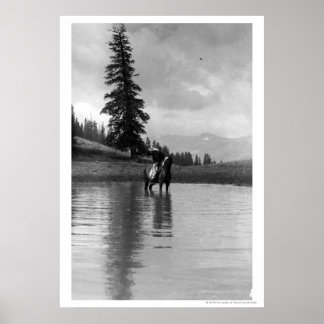 Póster Vaquero en un estanque