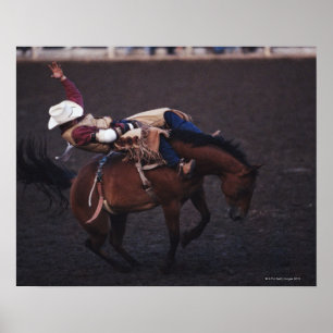 Póster Vaquero en un rodeo 2