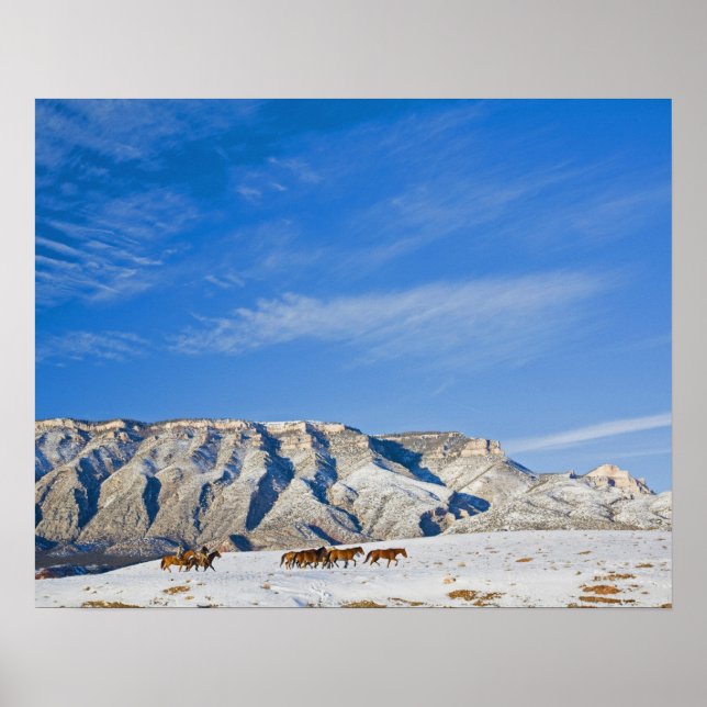 Póster Vaqueros con oído de caballos (Frente)