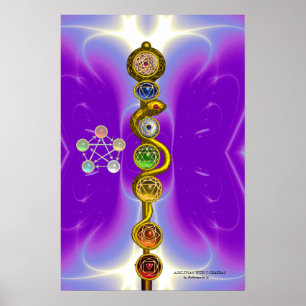 PÓSTER VARA DE ASCLEPIO 7 CHAKRAS, YOGA, ENERGÍA ESPIRITU