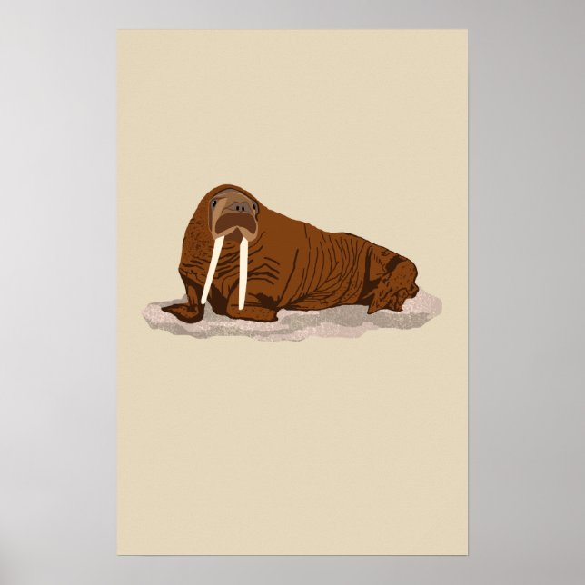 Póster Varia del Pacífico (Frente)