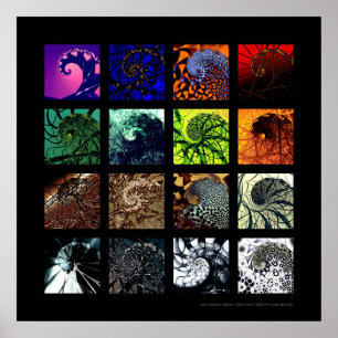 Póster Variaciones espirales