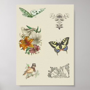 Póster Variedad de vintage Imágenes Imprimibles Scrapbook