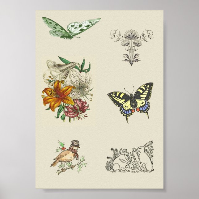 Póster Variedad de vintage Imágenes Imprimibles Scrapbook (Frente)