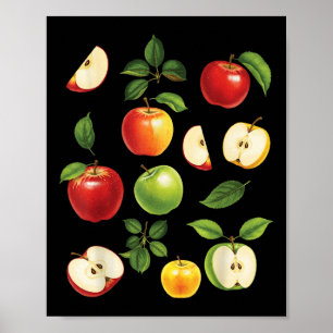 Póster Variedades de manzana diferentes tipos recolector