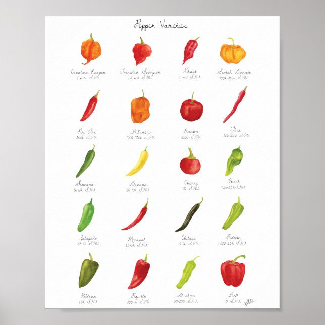 Póster Variedades de Pepper de color de agua Infografía (Frente)