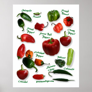 Póster Variedades de pimiento de chile
