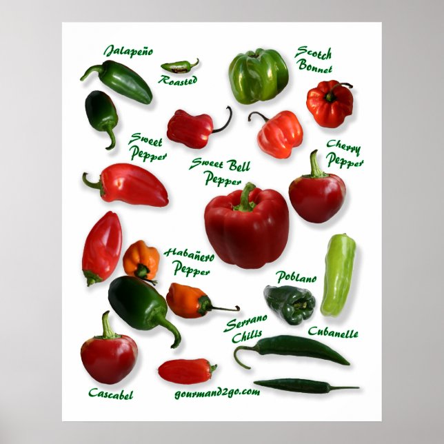 Póster Variedades de pimiento de chile (Frente)