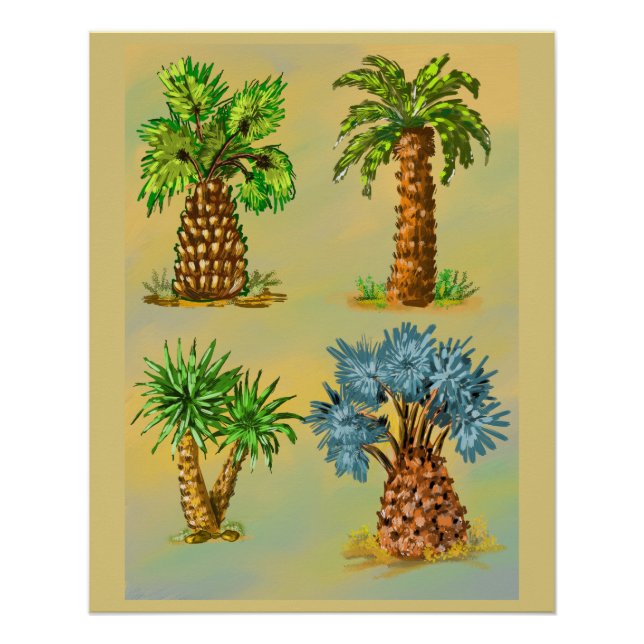 Póster Variétés de palmiers en couleurs. (Anverso)
