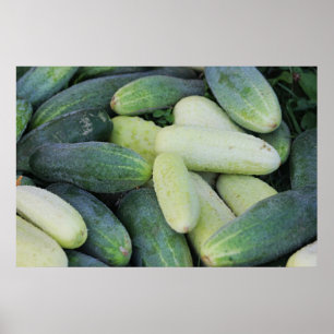 Póster Varios pepinos.