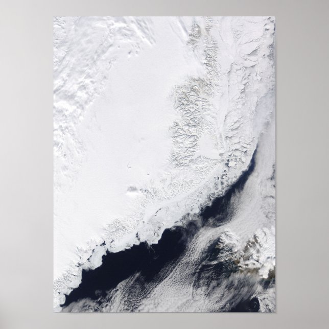 Póster Varios tipos de hielo marino (Frente)