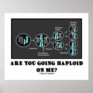 Póster ¿Vas A Estar Harploide Conmigo? (Humor de Meiosis)