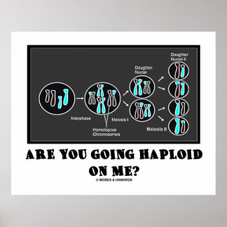 Póster ¿Vas A Estar Harploide Conmigo? (Humor de Meiosis)