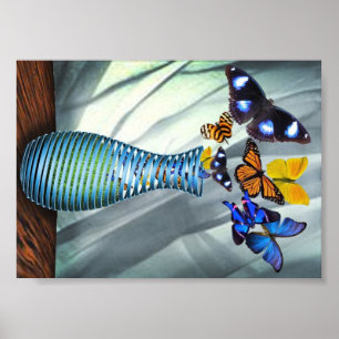Póster Vase de mariposa