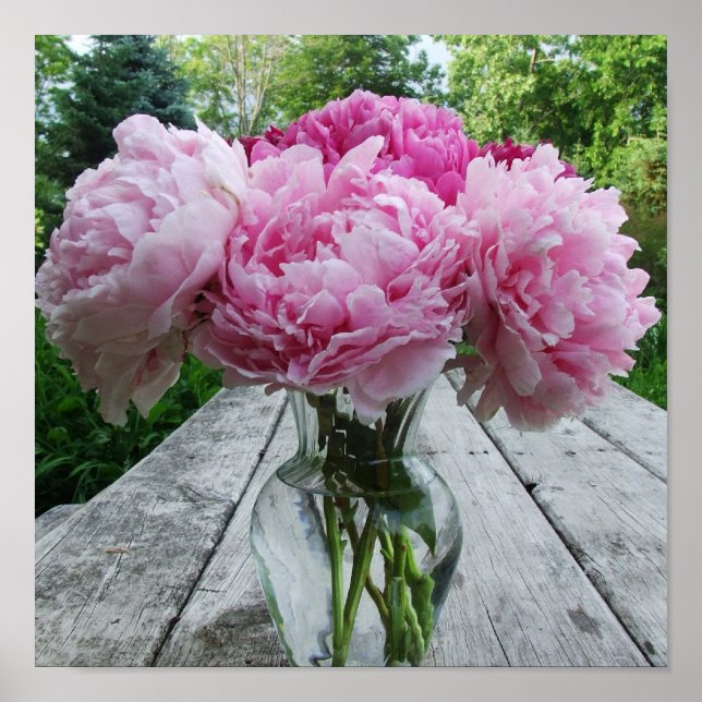 Póster Vase of Pink Peonies Poster Print (Frente)