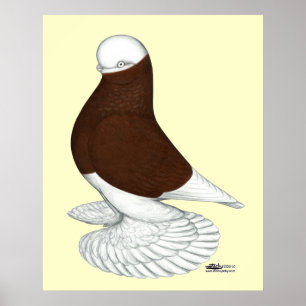 Póster Vaso:  Calvo rojo desperdiciada