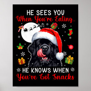 Póster Ve cuando comes bocadillos navideños Newfoundlan