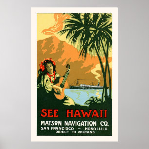 Póster Vea el poster del viaje de Hawaii