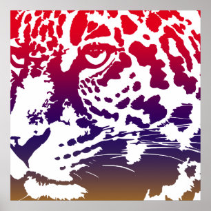 Póster Vector abstracto - Leopardo