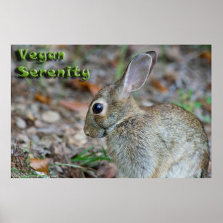 Póster Vegan Serenity Bunny Poster