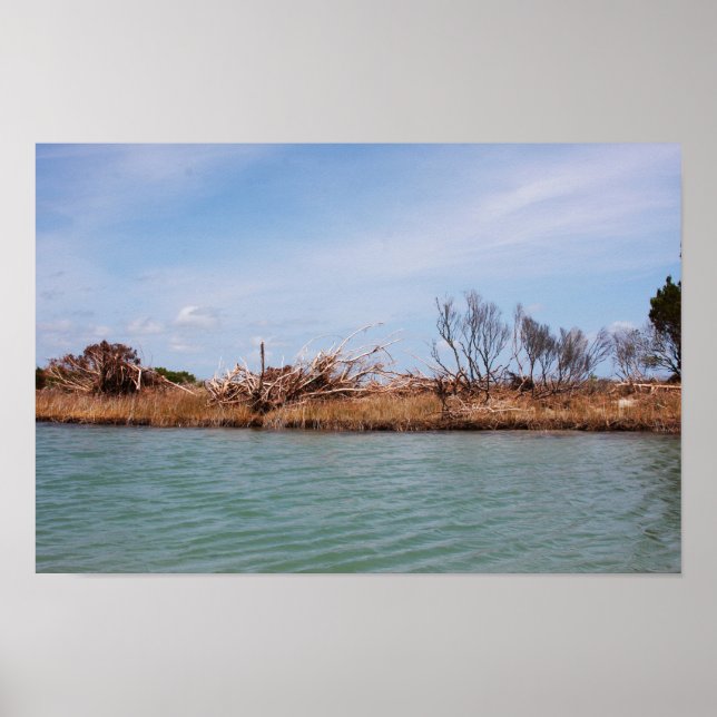 Póster Vegetación de la isla 1 (Frente)