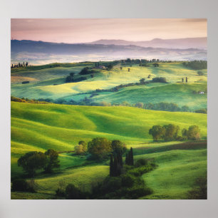 Póster Vegetación paisajística: serenidad pintada de luz