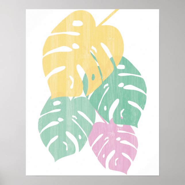 Póster Vegetación tropical - Hojas de Monstera (Frente)