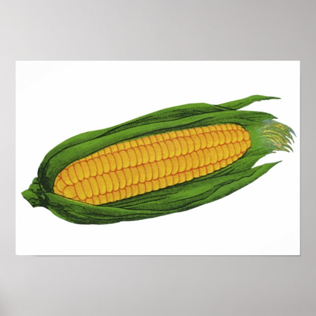 Póster Vegetales de alimentos de época; maíz amarillo en  (Frente)