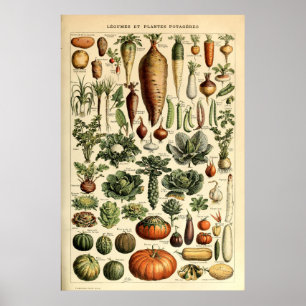 Póster Vegetales de época de Adolphe Millot