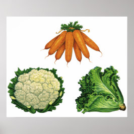 Póster Vegetales de época; zanjas, coliflor, lechuga