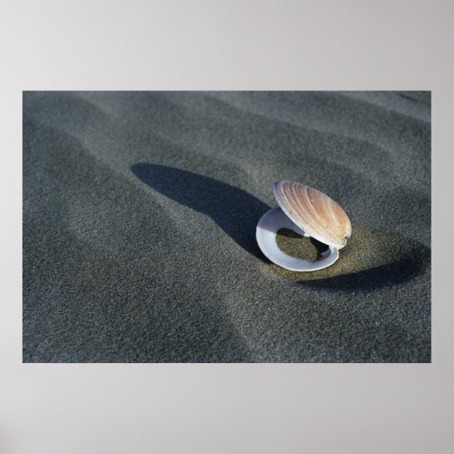 Póster Vegetales de Nueva Zelanda (Frente)