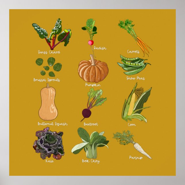 Póster Vegetales de otoño caen en la cosecha vegetal (Frente)