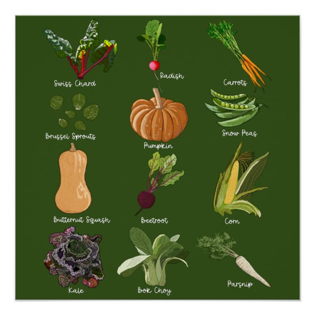 Póster Vegetales de otoño caen en la cosecha vegetal (Anverso)