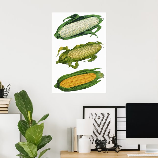 Póster Vegetales sanos para alimentos de época, maíz fres (Oficina en casa)