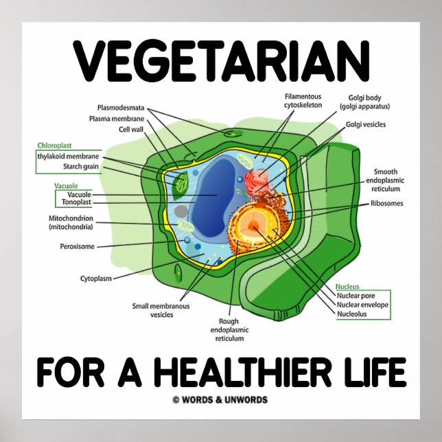 Póster Vegetariano Para Una Vida Más Sana (Célula Vegetal (Frente)