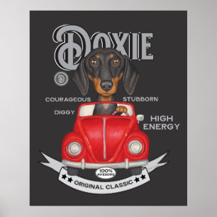 Póster Vehículo virgen de conducción de Dachshund