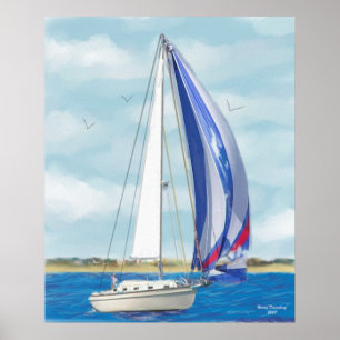 Póster Vela...