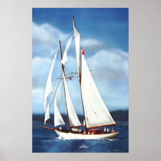 Póster Vela
