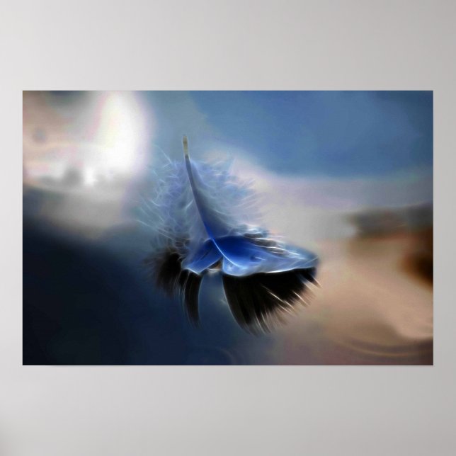 Póster Vela de plumas blancas (Frente)