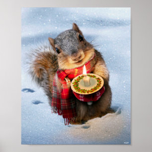 Póster Vela de sujeción de la ardilla nevada