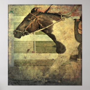 Póster Velocidad completa, Pinto Pony
