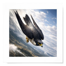 Velocidad del Cielo – Halcón Peregrino en Descenso