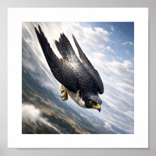 Póster Velocidad del Cielo – Halcón Peregrino en Descenso