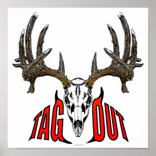 Póster Venado de cola blanca