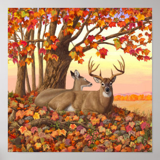 Póster Venado de cola blanca en otoño colores de otoño de