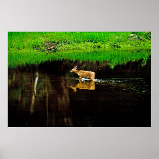 Póster venado de vástago